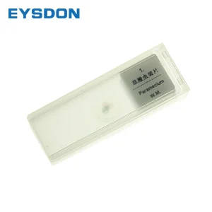 5 Piece Prepared Microscope Glass Slides