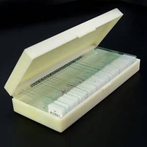 Prepared Glass Microscope Slides - 50 Pieces per Box