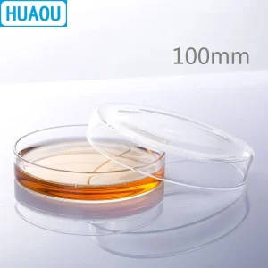 100mm Borosilicate 3.3 Glass Petri Dish for Laboratory and Microbiology Use