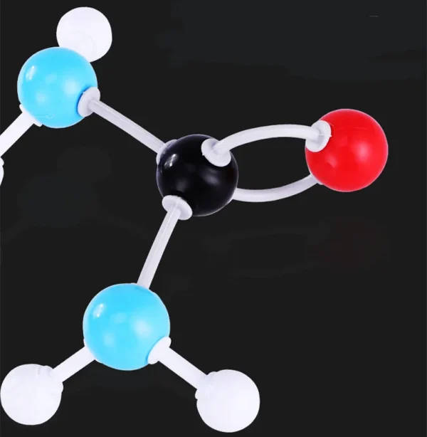 Molecular Model Set: Molecular Model | Organic Structures | Stick Model ...