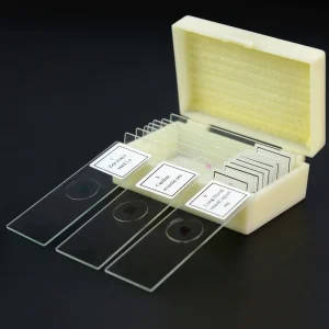 Comprehensive 10-Piece Prepared Microscope Slides Set for Educational Institutions