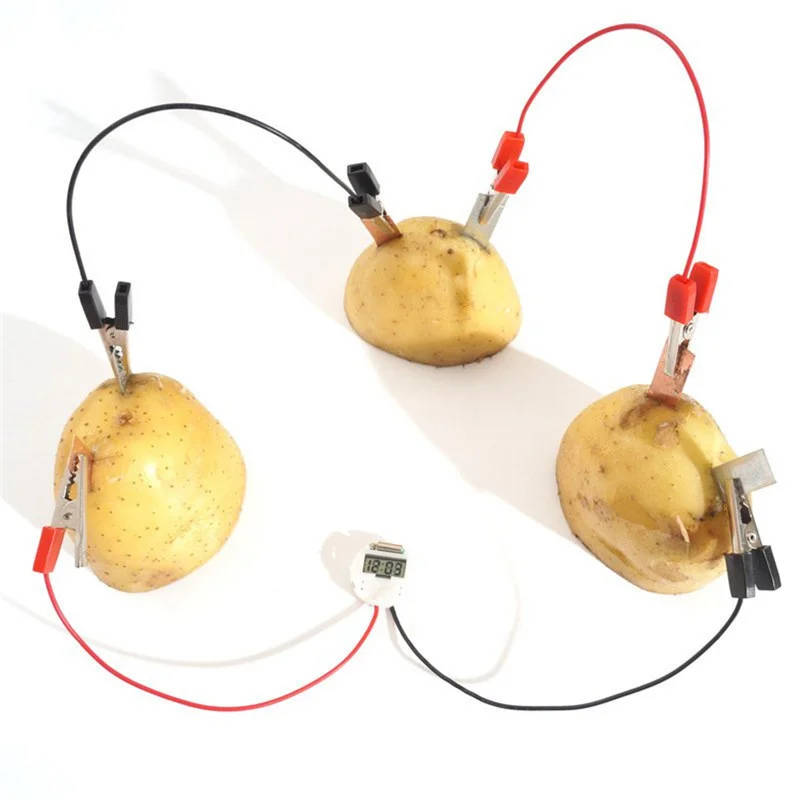 Potato Bioenergy Power Generation Science Experiment Kit Teach green energy and electrochemical principles with our comprehensive Potato Bioenergy Power Generation Experiment Kit, designed for UK schools and universities. Teach green energy and electrochemical principles with our comprehensive Potato Bioenergy Power Generation Experiment Kit, designed for UK schools and universities. Potato Bioenergy Power Generation Science Experiment Kit