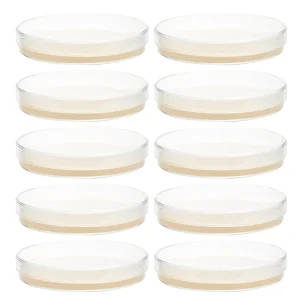 Nutrient Agar Plates - 10pcs 9cm Pre-Poured TSA Agar Plates
