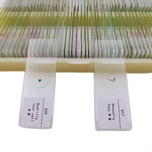 100pcs/Set Prepared Microscope Slides