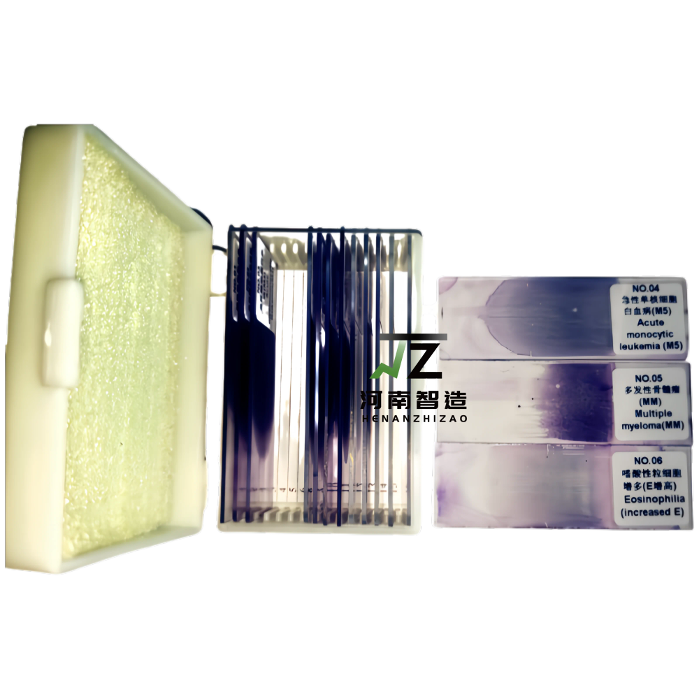 15-Piece Hematology Blood Smear Prepared Microscope Slides Set for Education Comprehensive set of 15 hematology blood smear prepared microscope slides for educational purposes, ideal for UK schools and universities teaching biology and life sciences. Comprehensive set of 15 hematology blood smear prepared microscope slides for educational purposes, ideal for UK schools and universities teaching biology and life sciences. 15-Piece Hematology Blood Smear Prepared Microscope Slides Set for Education - Image 4