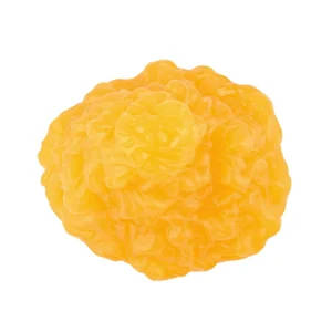 Silicone Human Body Fat Structure Model
