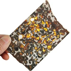 Authentic Sericho Kenya Olive Meteorite Specimen for Educational Use