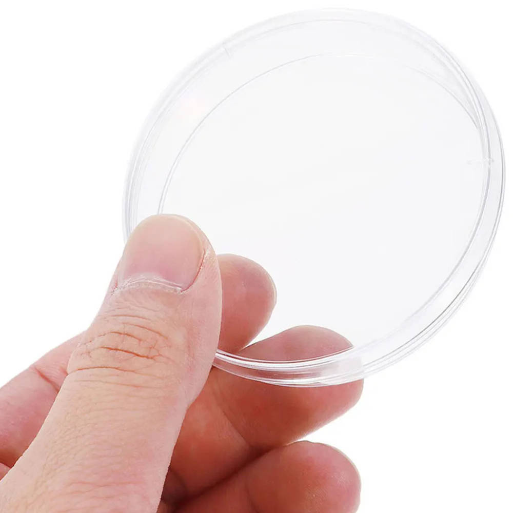 10pcs 100mm Clear Plastic Petri Dishes with Lids for Laboratory Use High-quality, heat-resistant plastic petri dishes with lids, ideal for microbiology, cell culture, and educational experiments in UK schools and research labs. High-quality, heat-resistant plastic petri dishes with lids, ideal for microbiology, cell culture, and educational experiments in UK schools and research labs. 10pcs 100mm Clear Plastic Petri Dishes with Lids for Laboratory Use - Image 4