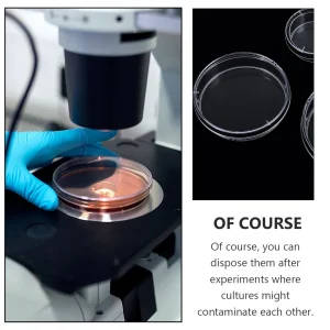 70mm Laboratory Petri Dishes With Lids
