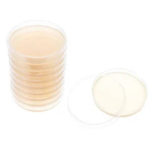 10pcs 9cm TSA Agar Plates