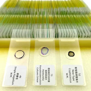 100Pcs Microbiology Microscope Prepared Slides