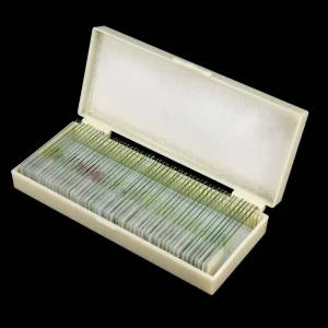 50pcs Prepared Microscope Glass Slides
