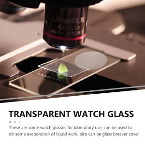 Temperature Resistant Glass Watch Glasses