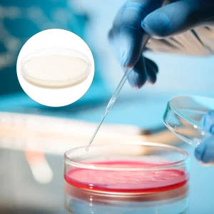 10 Pre-Poured Nutrient Agar Plates