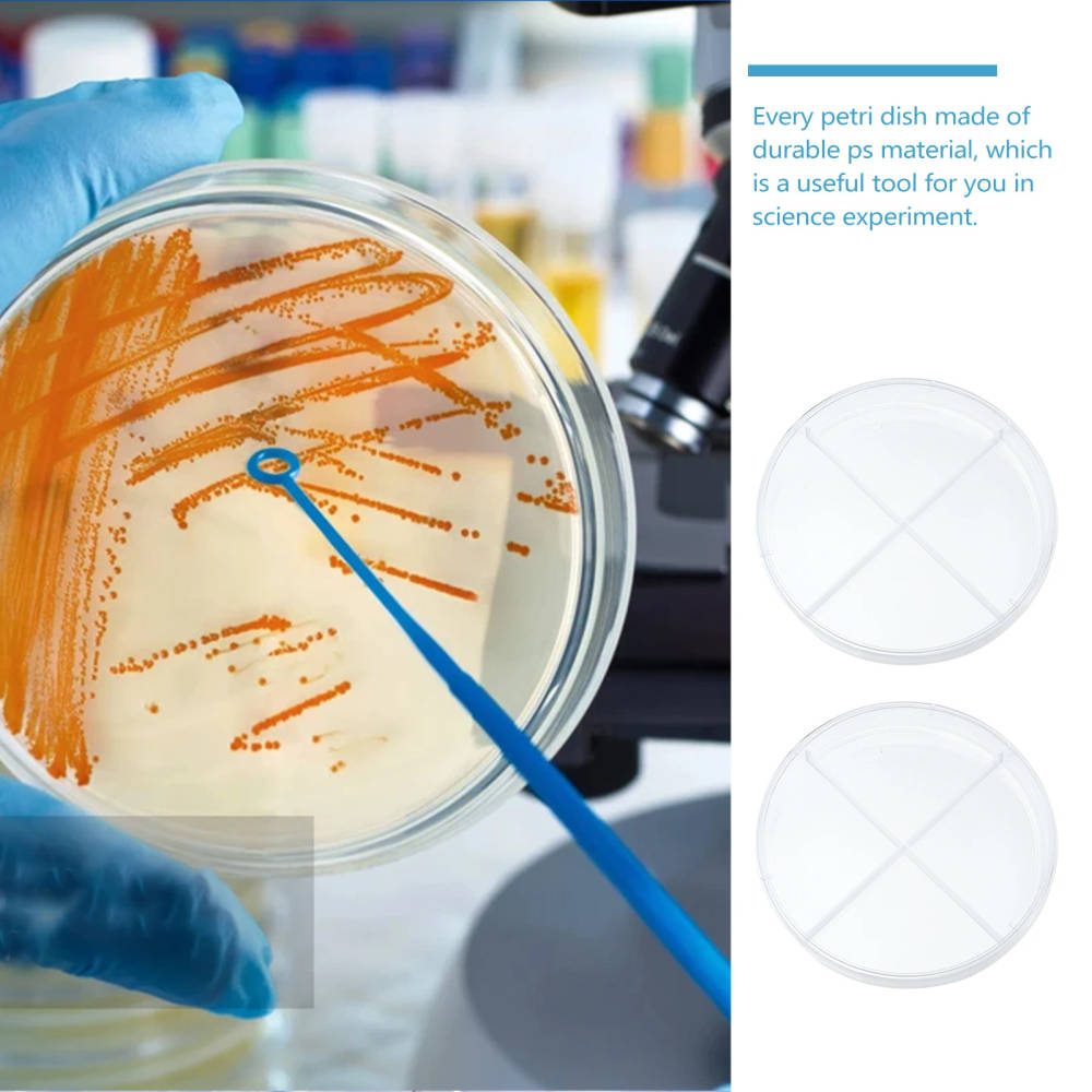 NUOLUX 10pcs Transparent Plastic Petri Dishes with Four Compartments for Cell Culture and Research High-quality, transparent plastic petri dishes with four compartments for cell culture, teaching, and scientific research. Ideal for UK educational institutions and laboratories. High-quality, transparent plastic petri dishes with four compartments for cell culture, teaching, and scientific research. Ideal for UK educational institutions and laboratories. NUOLUX 10pcs Transparent Plastic Petri Dishes with Four Compartments for Cell Culture and Research