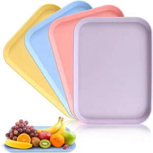 Sample Tray for Laboratory Use – 4-Piece 500ml Set