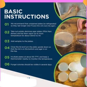 Pre-Poured Potato Dextrose Agar Petri Dishes (Pack of 10)