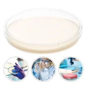 10 Pre-Poured Nutrient Agar Plates (9 cm)