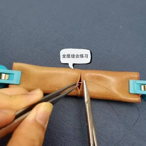 Laparoscopic Intestinal Anastomosis Training Model