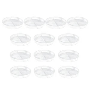 4-Compartment Transparent Plastic Petri Dishes