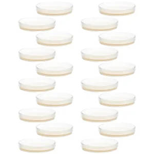 20 Pcs Pre-Poured Agar Plates