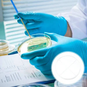 Four Compartments Petri Dishes
