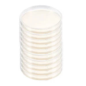 Sterile 9cm Agar Plates Petri Dishes - 10 Pack