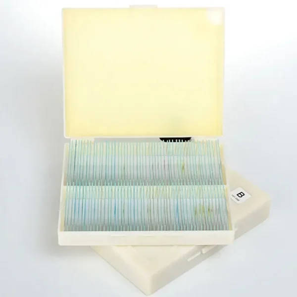 200 Piece Prepared Microscope Slides Set For UK Schools And Universities