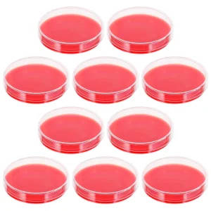 Agar Plates for Microbiology Labs