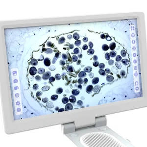 Biological Digital Microscope With 9 Inch IPS Touch Screen