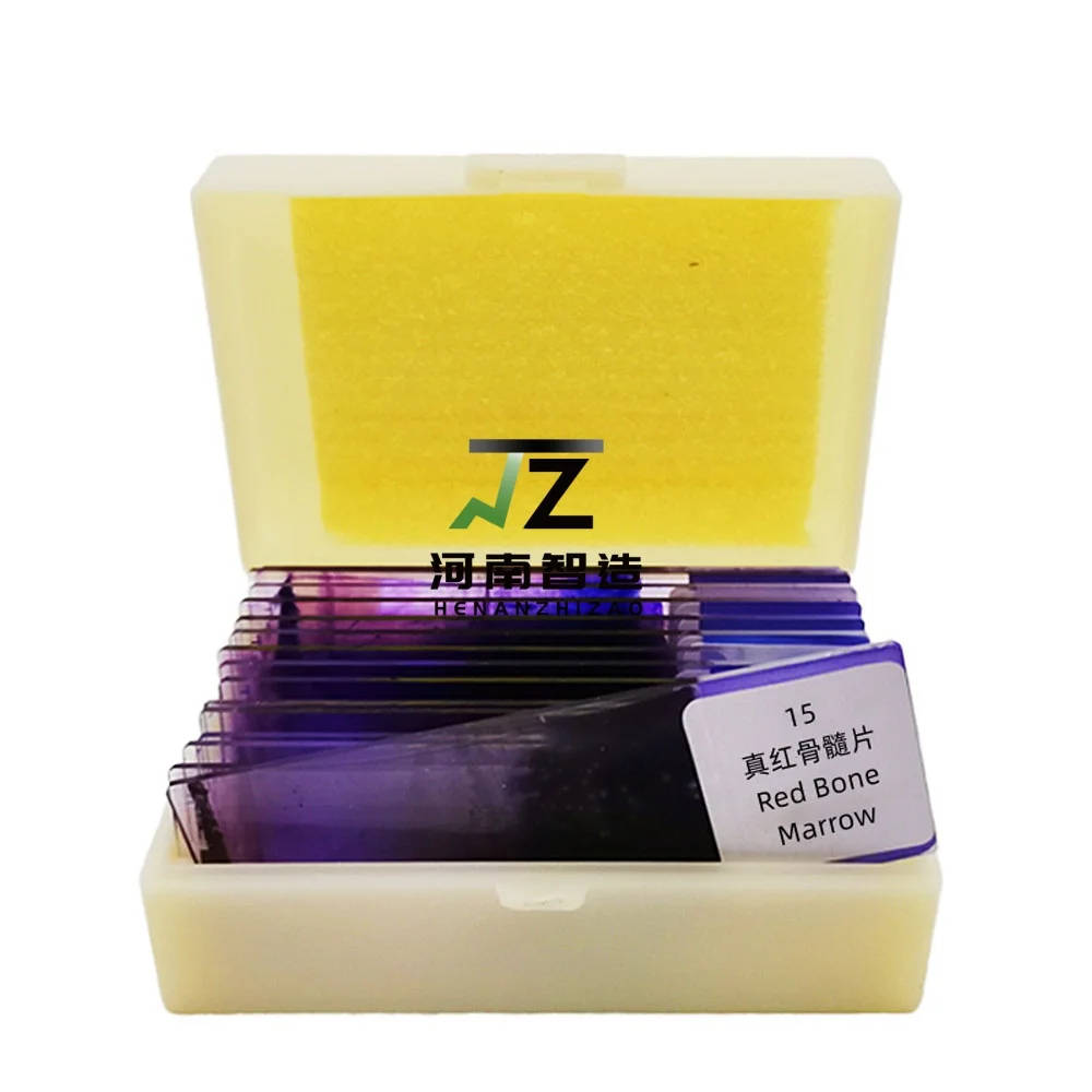 15-Piece Hematology Blood Smear Prepared Microscope Slides Set for Education Comprehensive set of 15 hematology blood smear prepared microscope slides for educational purposes, ideal for UK schools and universities teaching biology and life sciences. Comprehensive set of 15 hematology blood smear prepared microscope slides for educational purposes, ideal for UK schools and universities teaching biology and life sciences. 15-Piece Hematology Blood Smear Prepared Microscope Slides Set for Education