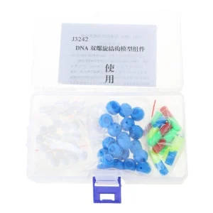 DNA Genetic Structure Models Double DNA Models Set for Biology Experiment and Education