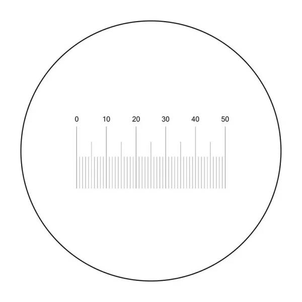 Ocular Micrometer For Microscope Calibration: Microscope And Slides ...