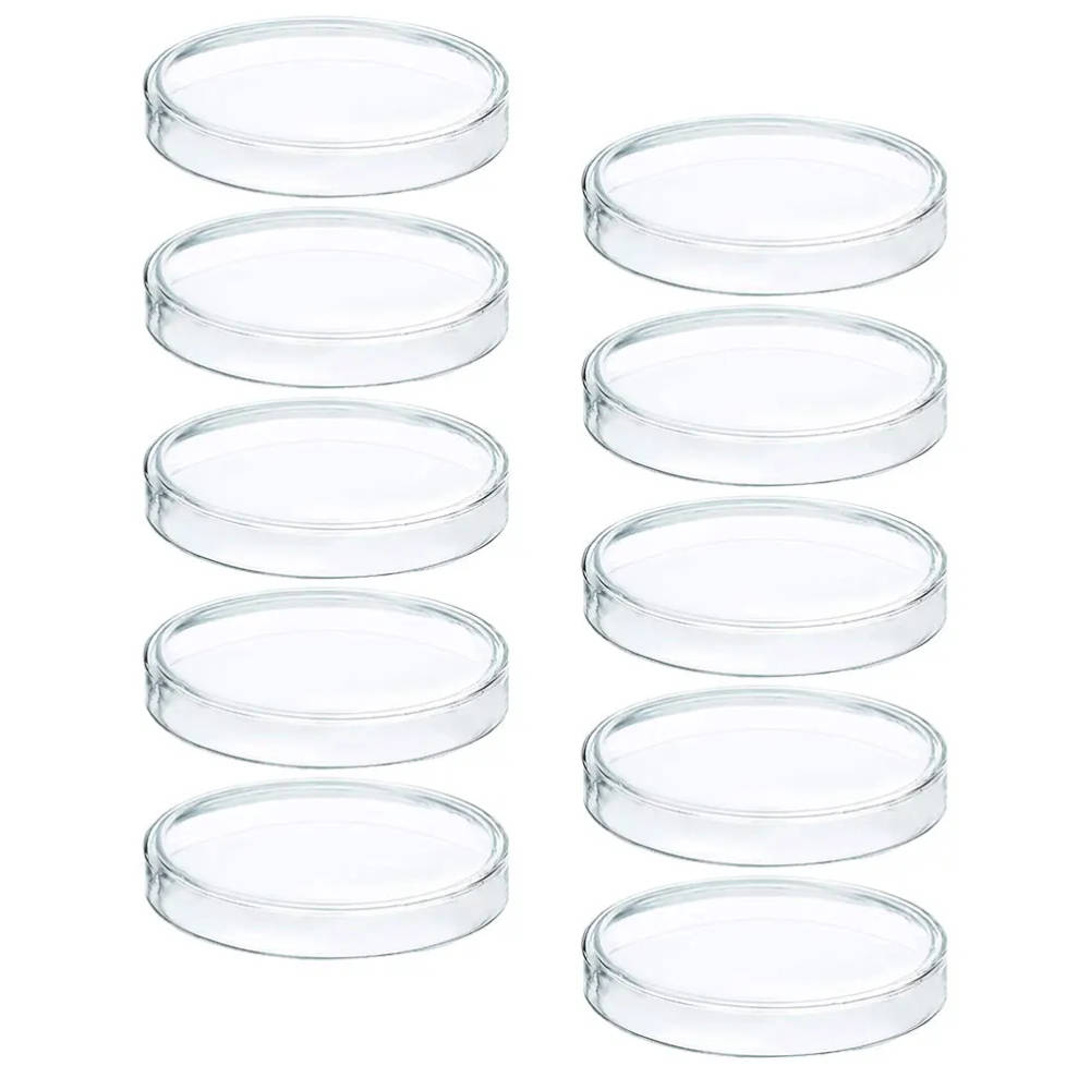 10pcs 100mm Clear Plastic Petri Dishes with Lids for Laboratory Use High-quality, heat-resistant plastic petri dishes with lids, ideal for microbiology, cell culture, and educational experiments in UK schools and research labs. High-quality, heat-resistant plastic petri dishes with lids, ideal for microbiology, cell culture, and educational experiments in UK schools and research labs. 10pcs 100mm Clear Plastic Petri Dishes with Lids for Laboratory Use - Image 2