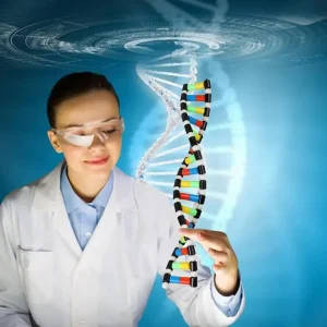 DNA Double Helix Structure Model for Educational Use