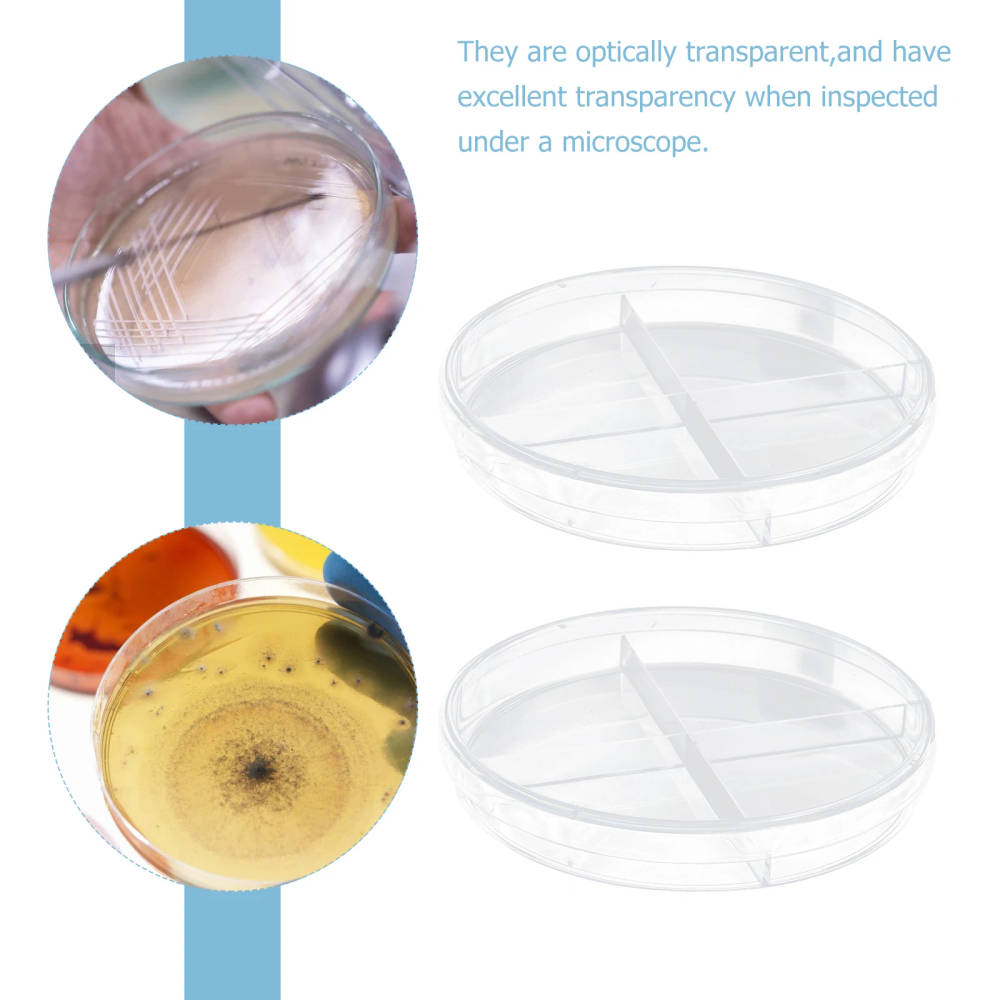 NUOLUX 10pcs Transparent Plastic Petri Dishes with Four Compartments for Cell Culture and Research High-quality, transparent plastic petri dishes with four compartments for cell culture, teaching, and scientific research. Ideal for UK educational institutions and laboratories. High-quality, transparent plastic petri dishes with four compartments for cell culture, teaching, and scientific research. Ideal for UK educational institutions and laboratories. NUOLUX 10pcs Transparent Plastic Petri Dishes with Four Compartments for Cell Culture and Research - Image 4