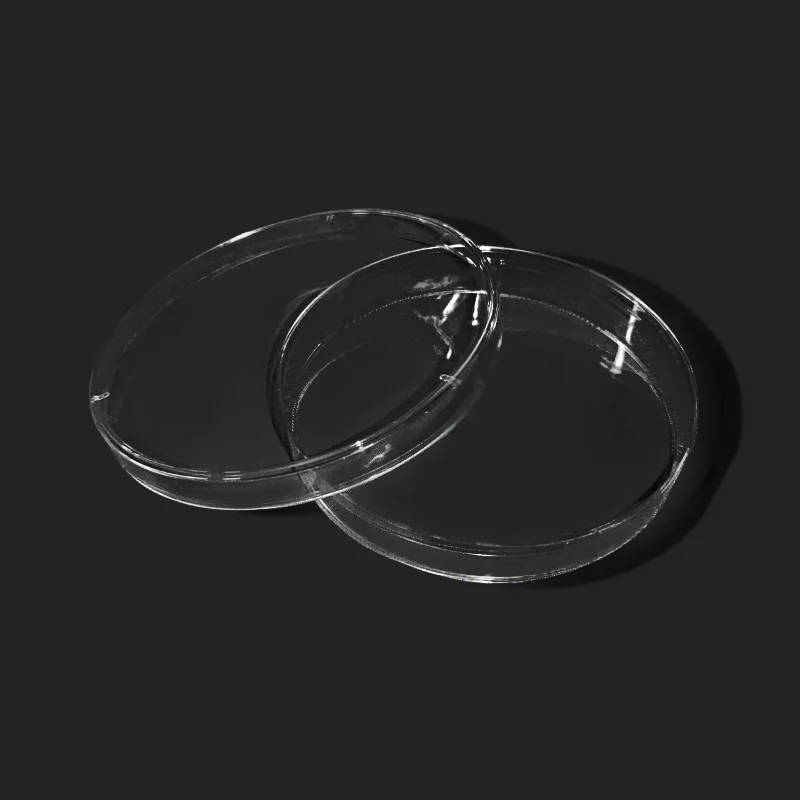 100mm Disposable Plastic Petri Dishes - Pack of 10 Sterile, high-quality 100mm petri dishes made from pure polystyrene for laboratory use, ideal for bacterial culture and inoculation. Sterile, high-quality 100mm petri dishes made from pure polystyrene for laboratory use, ideal for bacterial culture and inoculation. 100mm Disposable Plastic Petri Dishes - Pack of 10 - Image 6
