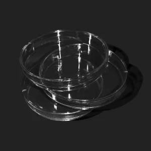 10pcs 100mm Sterile Polystyrene Plastic Petri Dishes with Lids for Laboratory Use