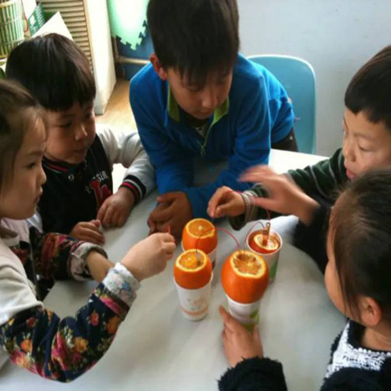 Potato Bioenergy Power Generation Science Experiment Kit Teach green energy and electrochemical principles with our comprehensive Potato Bioenergy Power Generation Experiment Kit, designed for UK schools and universities. Teach green energy and electrochemical principles with our comprehensive Potato Bioenergy Power Generation Experiment Kit, designed for UK schools and universities. Potato Bioenergy Power Generation Science Experiment Kit - Image 6