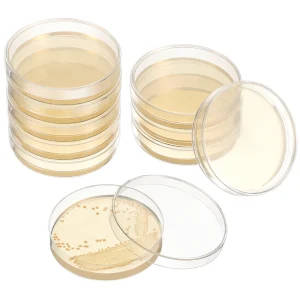 20pcs 7cm Agar Plates in Petri Dishes