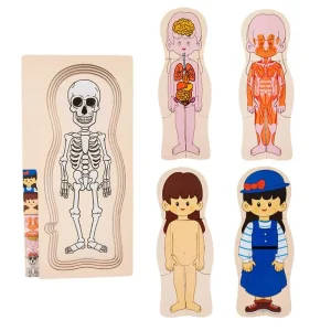 Human Body Anatomy Puzzle