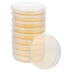 PDA Agar Plates for Mycology Research