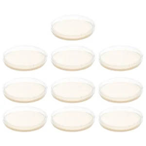Pre-Poured Nutrient Agar Plates