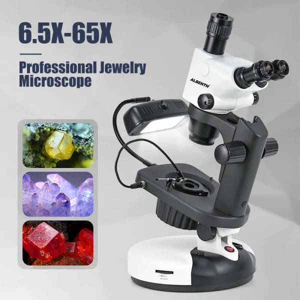 Albenth 6.5X-65X Trinocular Stereo Microscope: Stereo Microscope ...