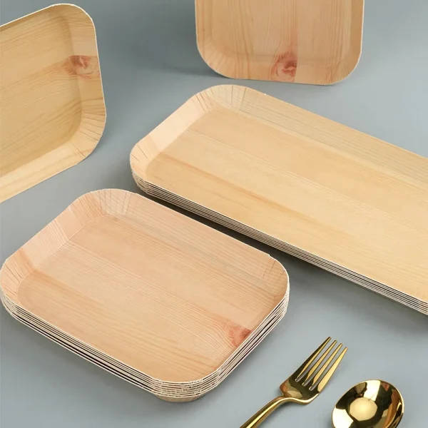 Rectangle Plate Lab Compostable Rectangle Laboratory Plates: Disposable Tableware | Paper ...