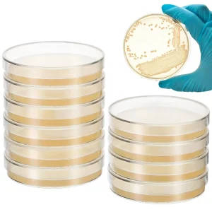 10 Pre-Poured Nutrient Agar Plates in 7cm Petri Dishes