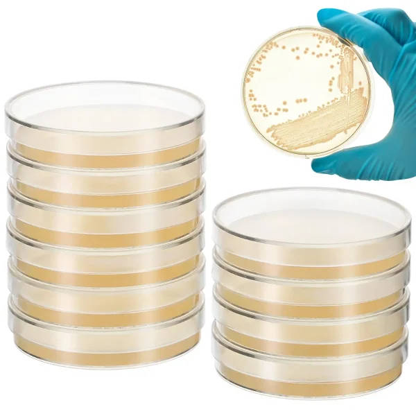 Observing Plate Pre-Poured Nutrient Agar Plates: Nutrient Agar Plates | Microbiology ...