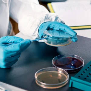 10pcs 7cm Prepoured Nutrient Agar Plates