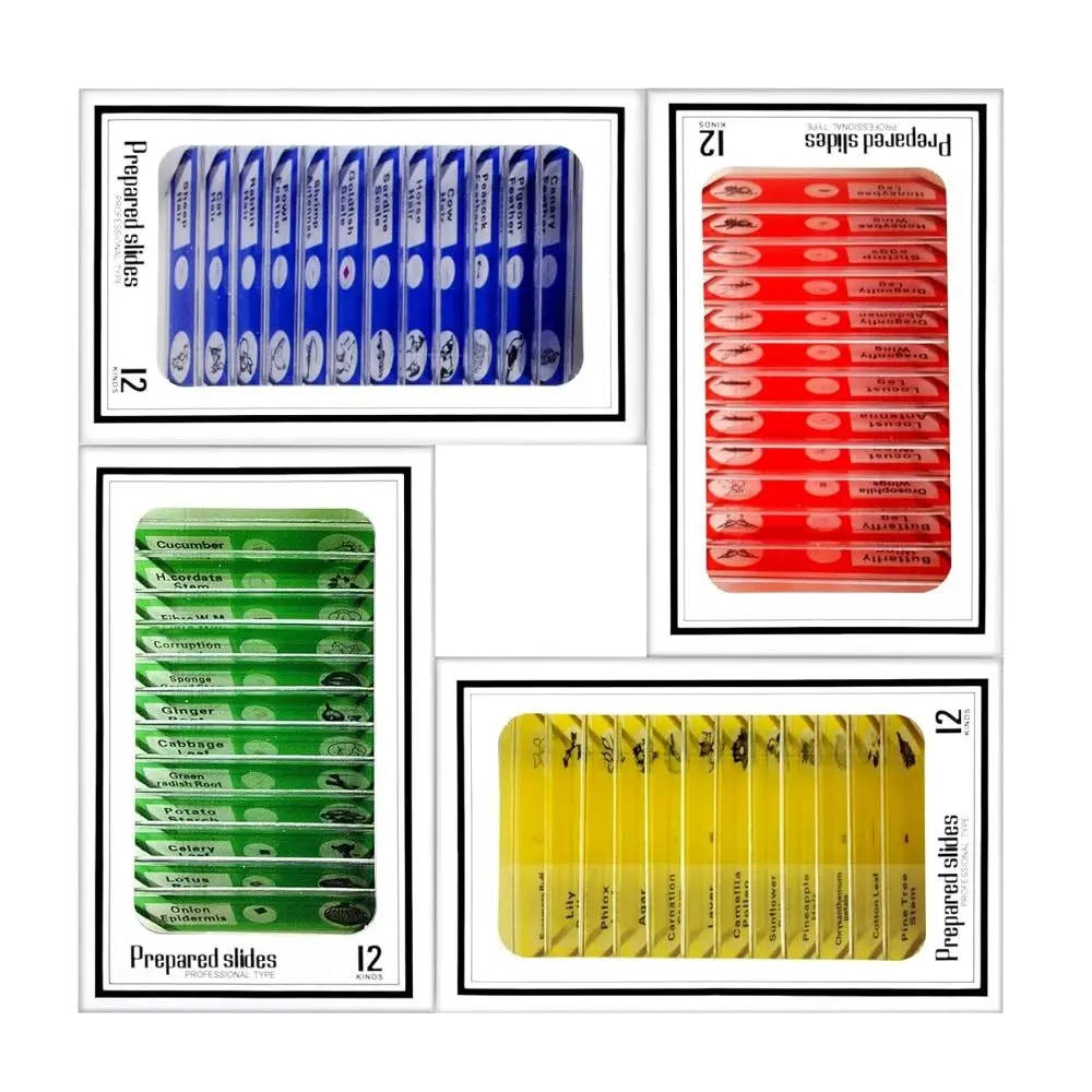 60-Piece Plastic Microscope Slides Set For UK Schools & Universities