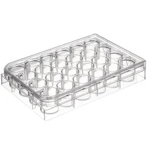 24-Well Cell Culture Plate